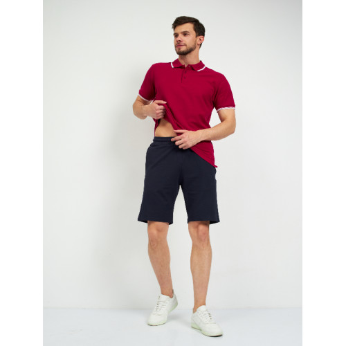 Шорты мужские STAN хлопок/полиэстер/эластан 245, 93